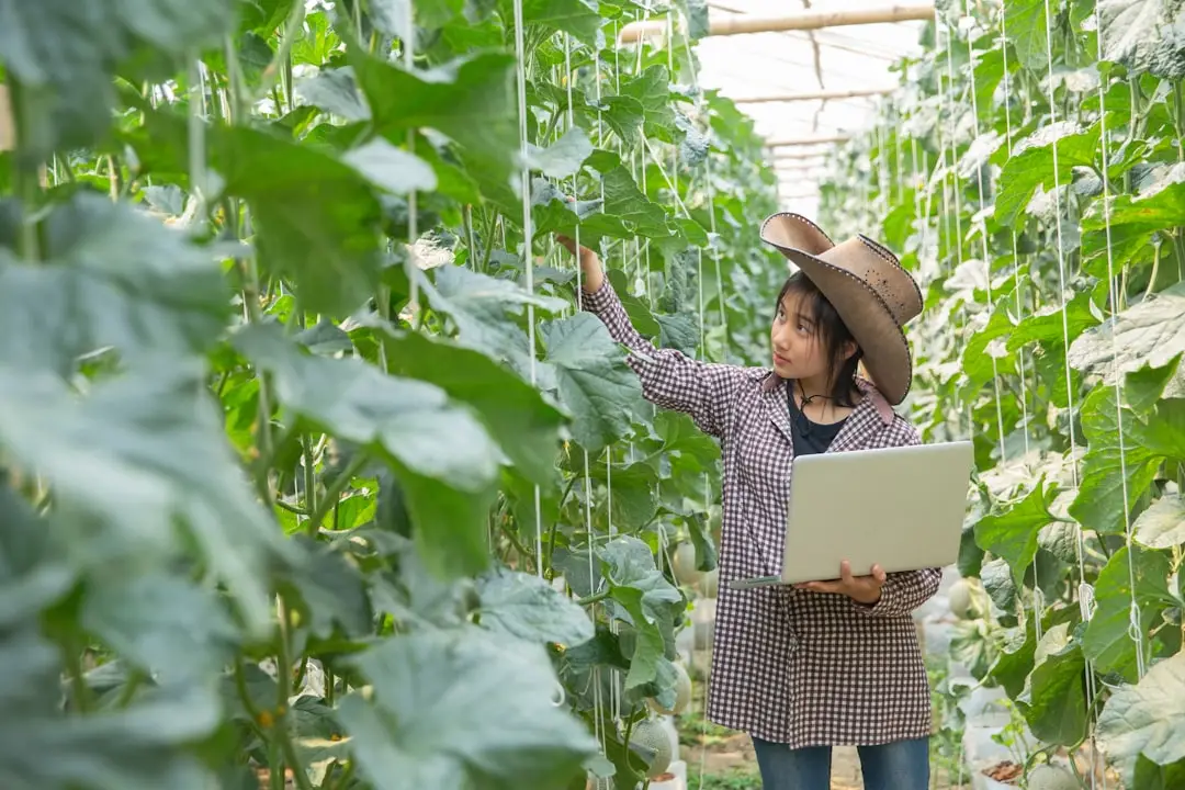 2025年酒店运营管理新趋势:数字化工具驱动服务品质升级
